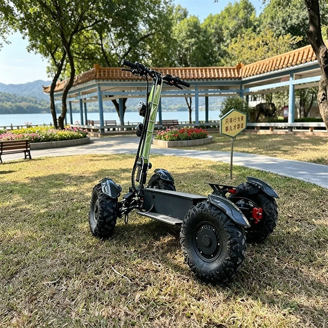 HIGHTPOINTS Electric Scooter 4 Wheels