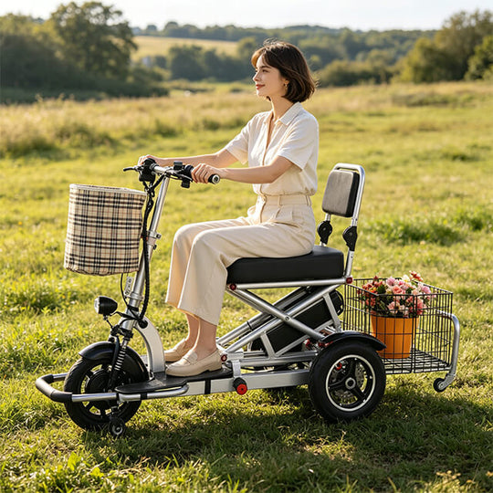 HP20 Elderly Mobility Scooter