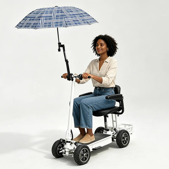 HP29 Golf Bag Electric Scooter 4 Wheels
