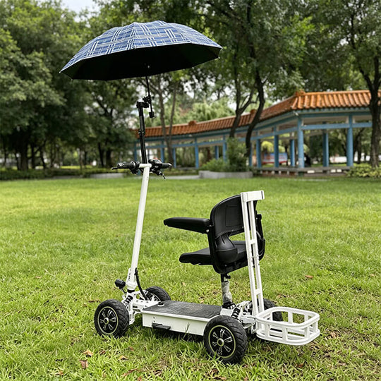 HP29 Golf Bag Electric Scooter 4 Wheels