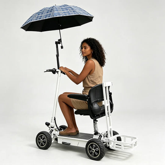 HP29 Golf Bag Electric Scooter 4 Wheels