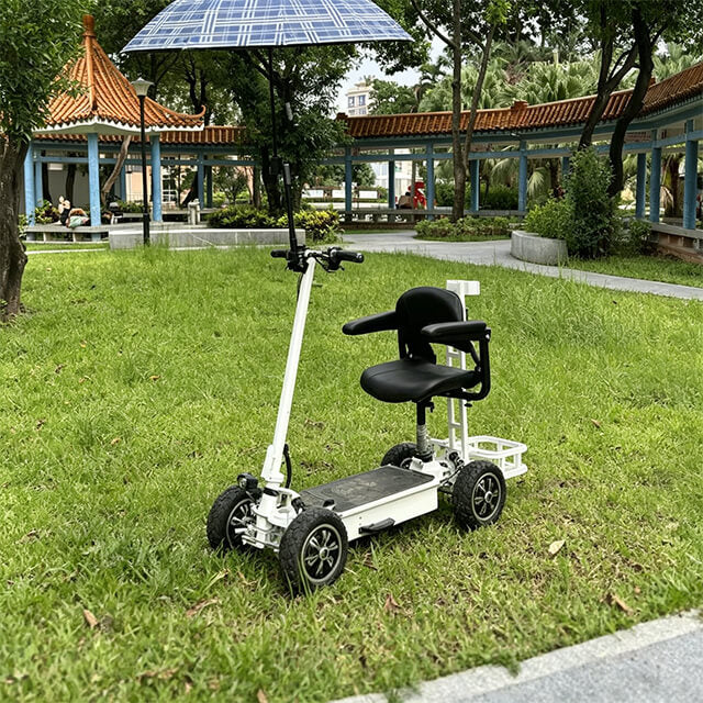 HP29 Golf Bag Electric Scooter 4 Wheels