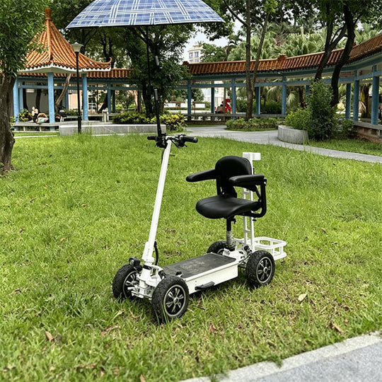 HP29 Golf Bag Electric Scooter 4 Wheels