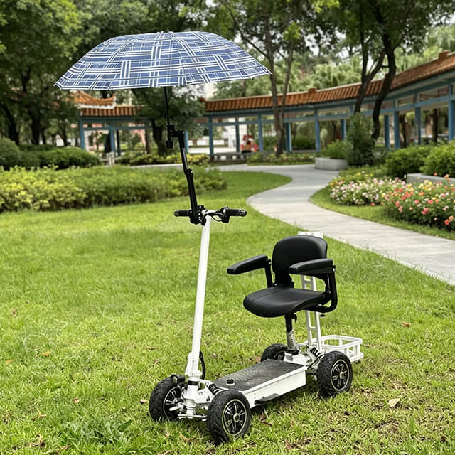 HP29 Golf Bag Electric Scooter 4 Wheels