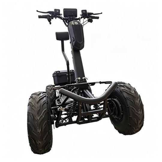 HP31 Electric Scooter 4 Wheels