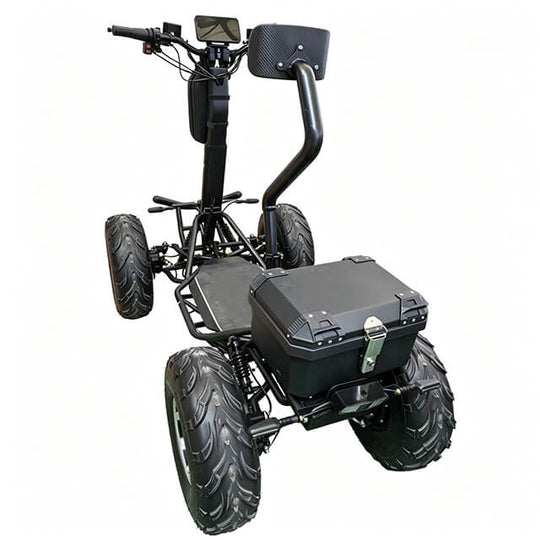 HP31 Electric Scooter 4 Wheels