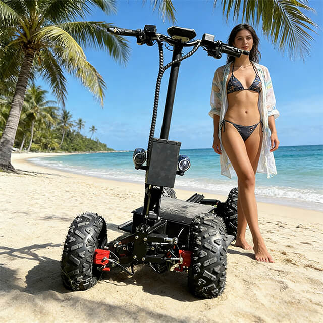 HP35 Electric Scooter 4 Wheels