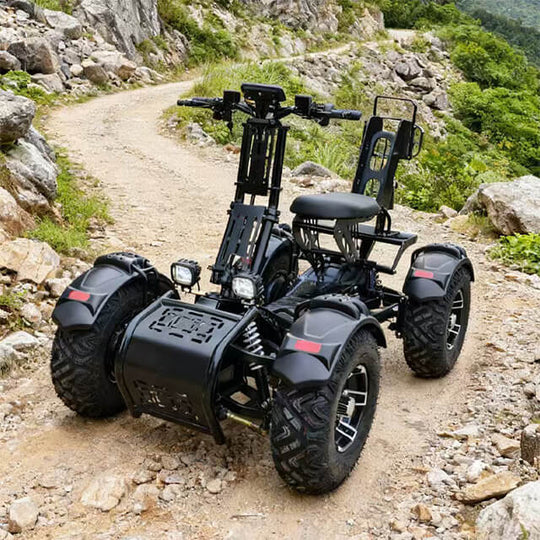 HP41 Electric Scooter 4 Wheels